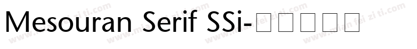 Mesouran Serif SSi字体转换